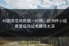 49图库官网数据一对照，欧洲杯小组赛里临场战术藏得太深