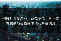 别只盯着爱游戏下载像不像，真正要看的是隐私权限申请和备案信息