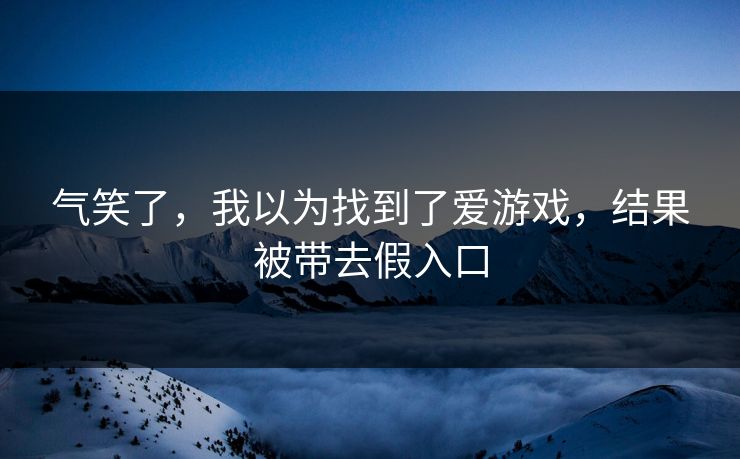 气笑了，我以为找到了爱游戏，结果被带去假入口