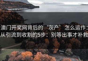澳门开奖网背后的‘灰产’怎么运作：从引流到收割的5步：别等出事才补救