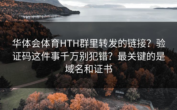 华体会体育HTH群里转发的链接？验证码这件事千万别犯错？最关键的是域名和证书