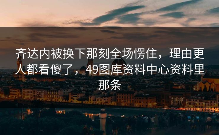 齐达内被换下那刻全场愣住，理由更人都看傻了，49图库资料中心资料里那条
