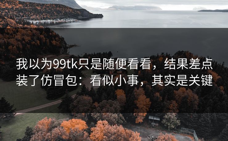 我以为99tk只是随便看看，结果差点装了仿冒包：看似小事，其实是关键